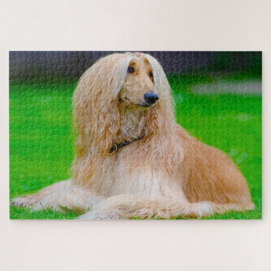 Afghaanse Greyhound. Legpuzzel (Horizontaal)