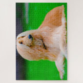 Afghaanse Greyhound. Legpuzzel (Verticaal)