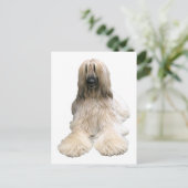 Afghaanse Helaine Briefkaart (Staand voorkant)