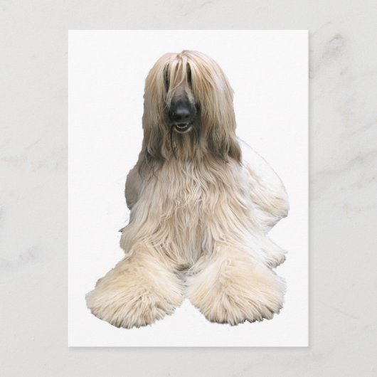 Afghaanse Helaine Briefkaart (Voorkant)