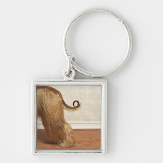 Afghaanse heuvel in kamer, eindsectie sleutelhanger (Voorkant)