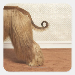 Afghaanse heuvel in kamer, eindsectie vierkante sticker
