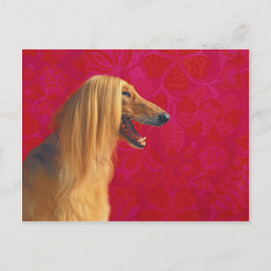 Afghaanse heuvelkaarten en GIfts Briefkaart