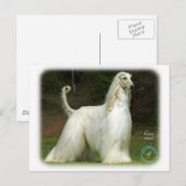 Afghaanse hond 9J32D-21 Briefkaart (Voorkant / Achterkant)