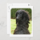 Afghaanse hond 9T027D-081 Briefkaart (Voorkant / Achterkant)