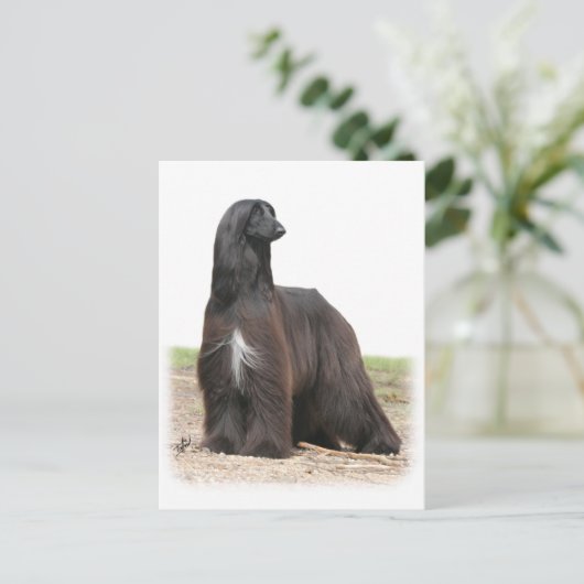 Afghaanse hond 9Y151D-113 Briefkaart (Staand voorkant)