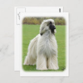 Afghaanse hond 9Y247D-010 Briefkaart (Voorkant / Achterkant)