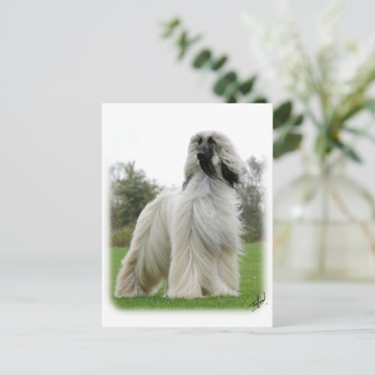 Afghaanse hond 9Y247D-025 Briefkaart (Staand voorkant)