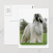 Afghaanse hond 9Y247D-025 Briefkaart (Voorkant / Achterkant)