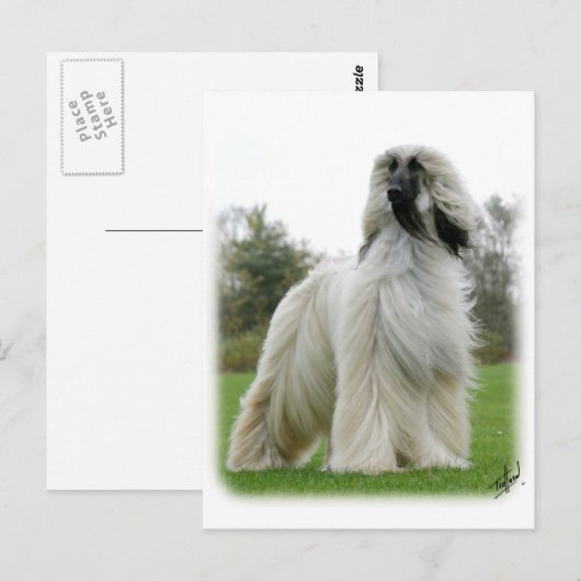 Afghaanse hond 9Y247D-025 Briefkaart (Voorkant / Achterkant)