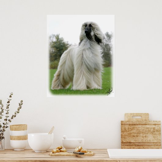 Afghaanse hond 9Y247D-025 Poster (Keuken)