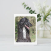 Afghaanse hond AA017D-101 Briefkaart (Staand voorkant)