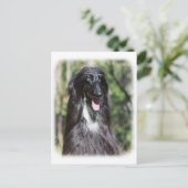 Afghaanse hond AA017D-119 Briefkaart (Staand voorkant)