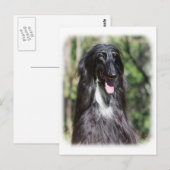 Afghaanse hond AA017D-119 Briefkaart (Voorkant / Achterkant)