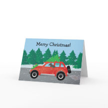 Afghaanse hond - auto met kerstboom bovenaan