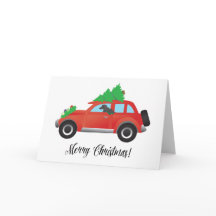 Afghaanse hond - auto met kerstboom bovenaan