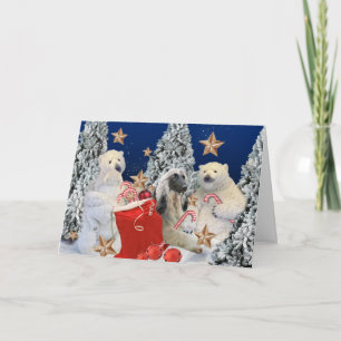 Afghaanse hond bezoekt Kaarten van Santa's House