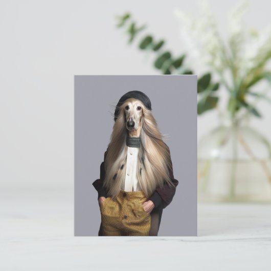 Afghaanse hond blond haar in broek briefkaart (Staand voorkant)