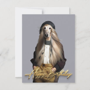 Afghaanse hond blond haar in broek Gefeliciteerd v