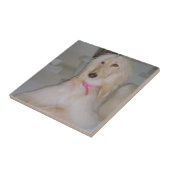 Afghaanse hond Blond Tile Tegeltje (Zijkant)