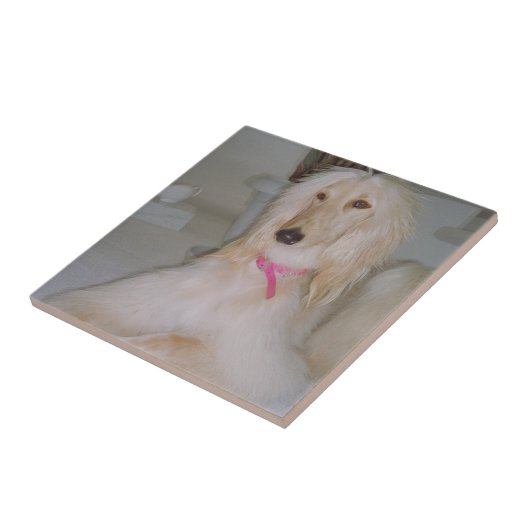 Afghaanse hond Blond Tile Tegeltje (Zijkant)
