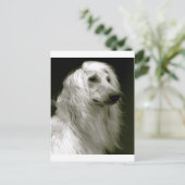Afghaanse hond briefkaart (Staand voorkant)