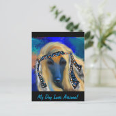 Afghaanse hond briefkaart (Staand voorkant)