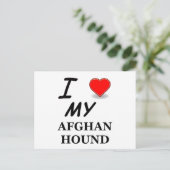afghaanse hond briefkaart (Staand voorkant)