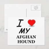 afghaanse hond briefkaart (Voorkant / Achterkant)