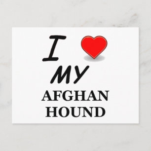 afghaanse hond briefkaart