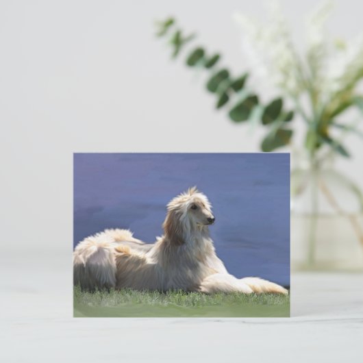 Afghaanse hond briefkaart (Staand voorkant)
