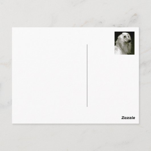 Afghaanse hond briefkaart (Achterkant)