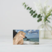 Afghaanse hond die aan het kruipen is visitekaartje (Staand voorkant)