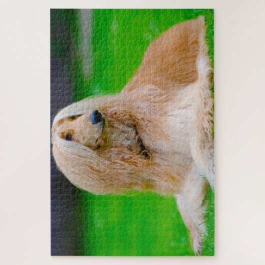 Afghaanse hond Dog. Legpuzzel (Verticaal)