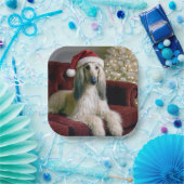 Afghaanse hond draagt een Sinterklaas Pet Papieren Bordje (Feest)