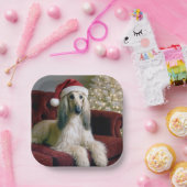 Afghaanse hond draagt een Sinterklaas Pet Papieren Bordje (Feest)