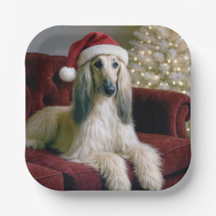 Afghaanse hond draagt een Sinterklaas Pet Papieren Bordje