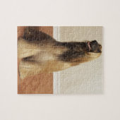 Afghaanse hond in kamer 2 legpuzzel (Horizontaal)