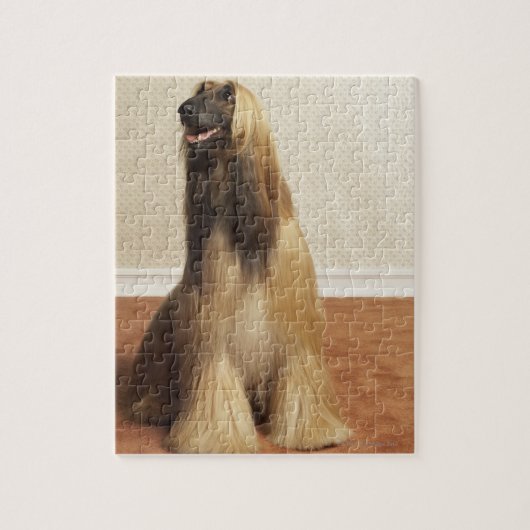Afghaanse hond in kamer 2 legpuzzel (Verticaal)