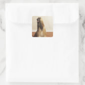 Afghaanse hond in kamer 2 vierkante sticker (Tas)