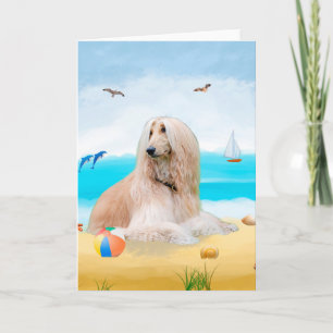 Afghaanse hond op strand kaart