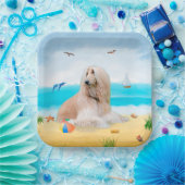 Afghaanse hond op strand papieren bordje (Feest)