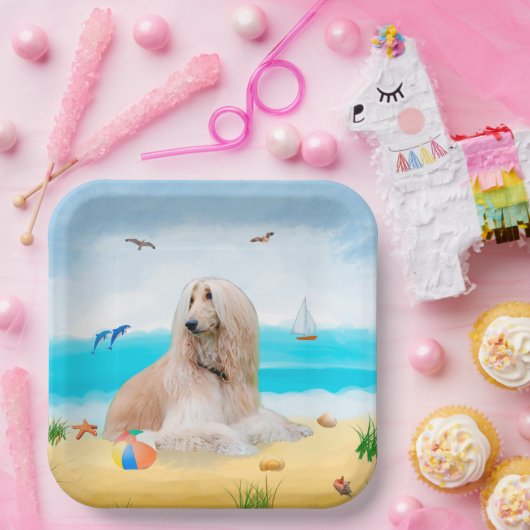 Afghaanse hond op strand papieren bordje (Feest)