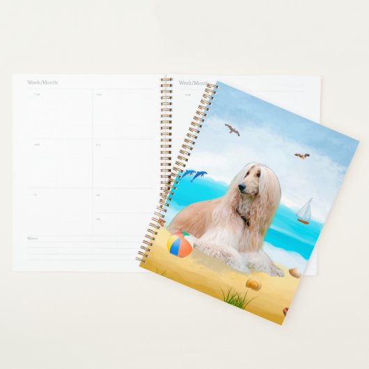 Afghaanse hond op strand planner (Display)