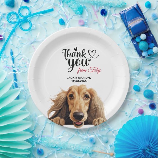 Afghaanse hond papieren bordje (Feest)