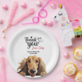 Afghaanse hond papieren bordje (Feest)