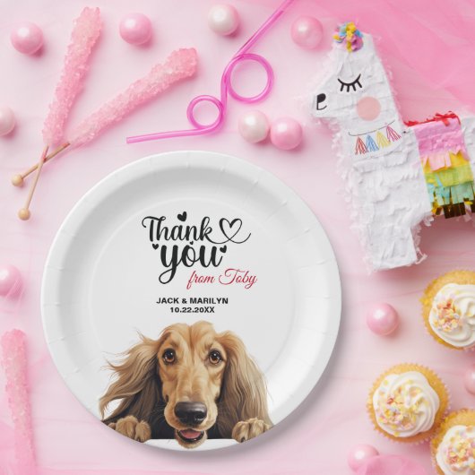 Afghaanse hond papieren bordje (Feest)