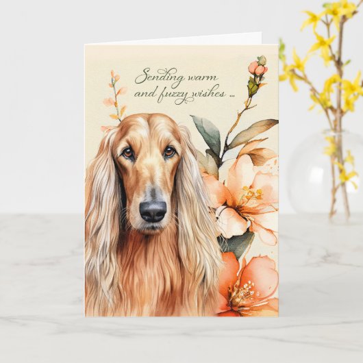 Afghaanse Hond Perzik Lelies Krijgen Goed Kaart (Gele Bloem)