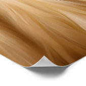 Afghaanse hond poster (Hoek)