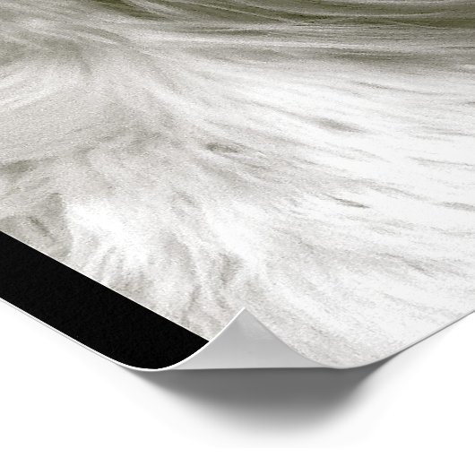 Afghaanse hond poster (Hoek)